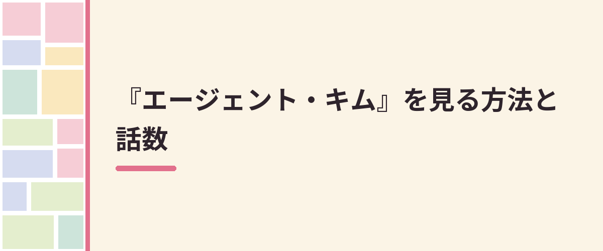 『エージェント・キム』を見る方法と話数